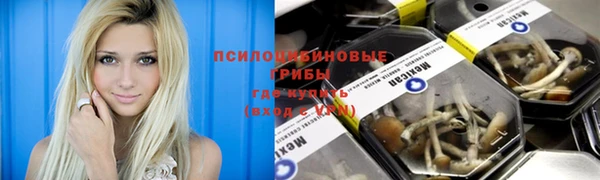 гидра Балабаново