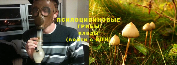 гидра Балабаново