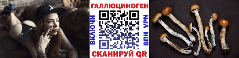 Псилоцибиновые грибы MAGIC MUSHROOMS  Верея 